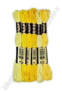 Набор ниток мулине (6 шт) SF-4104, №80