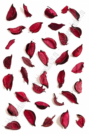 Сухоцветы листики 100 гр (ВР-434) красный