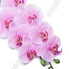 Веточка декоративная &amp;quot;Орхидея&amp;quot; 93 см (SF-8089) розовый