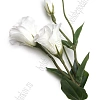 Веточка декоративная 52 см &amp;quot;Эустома&amp;quot; (SF-8123) белый