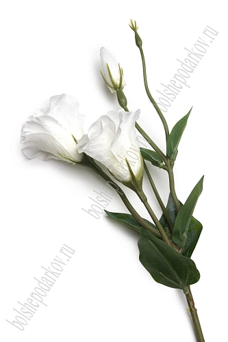 Веточка декоративная 52 см &amp;quot;Эустома&amp;quot; (SF-8123) белый