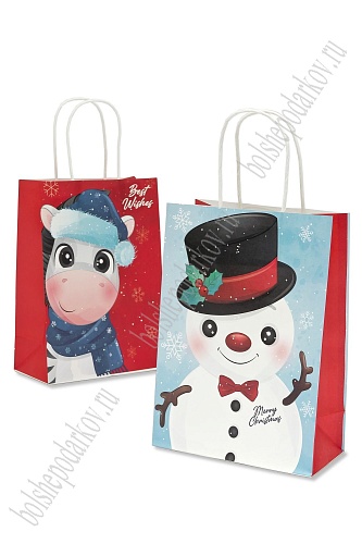 Пакет крафтовый с рисунком 15*21*8 см (12 шт) SF-7177, №10