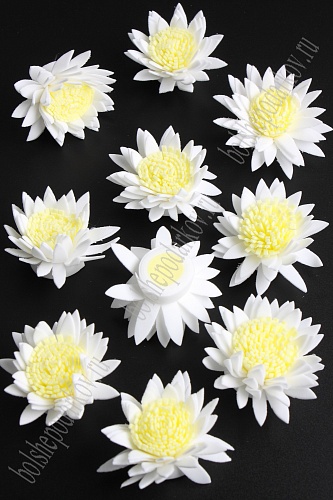 Головки цветов &amp;quot;Хризантема&amp;quot; двухцветная 4,5 см (30 шт) SF-2294, белый