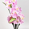 Букет цветов &amp;quot;Орхидея&amp;quot; 60 см (R-50) в ассортименте