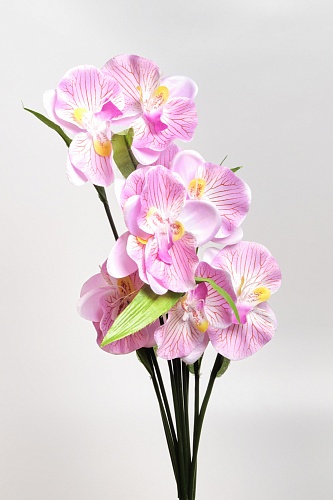Букет цветов &amp;quot;Орхидея&amp;quot; 60 см (R-50) в ассортименте