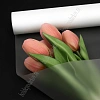 Пленка матовая в рулоне 60 см*800 гр