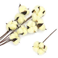 Веточки &quot;Хлопок&quot;