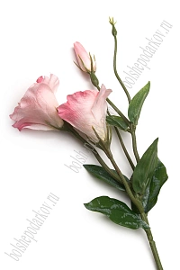 Веточка декоративная 52 см "Эустома" (SF-8123) розовый