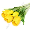 Веточка декоративная 33 см, 31 см &amp;quot;Тюльпан&amp;quot; (5 шт) SF-8137, желтый