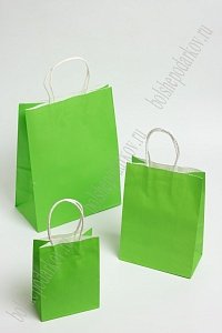 Пакет крафтовый 21*27*11 см (12 шт) SF-7176,  зеленый