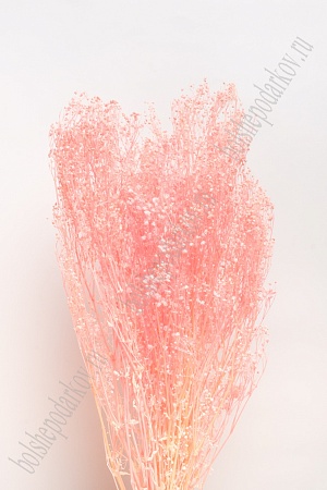 Сухоцветы декоративные (SF-2838) розовый персик