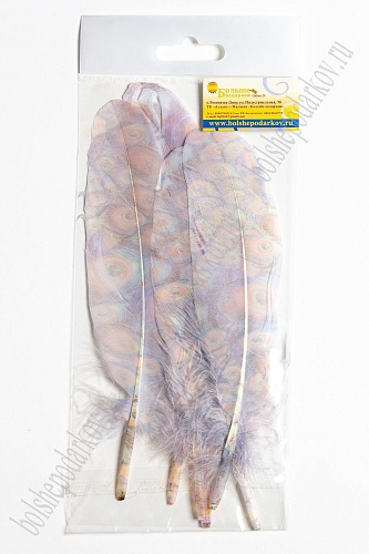 Перья декоративные 16*4,5 см (6 шт) &amp;quot;Павлин&amp;quot;