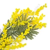 Веточка декоративная 84 см &amp;quot;Мимоза&amp;quot; (SF-8123) 
