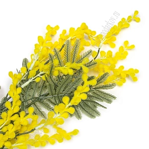 Веточка декоративная 84 см "Мимоза" (SF-8123) 