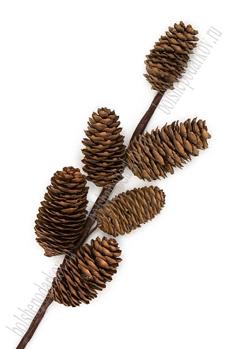 Веточка декоративная с шишками, 40 см (SF-8192), коричневый №2