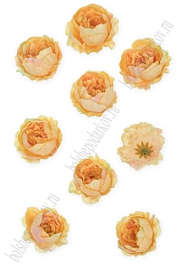 Головки цветов &quot;Пион&quot; 6 см (10 шт) SF-7874, персиковый