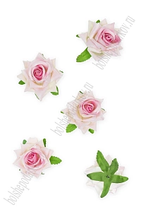 Головки цветов &quot;Роза&quot; 6 см (5 шт) SF-7874, белый/розовый