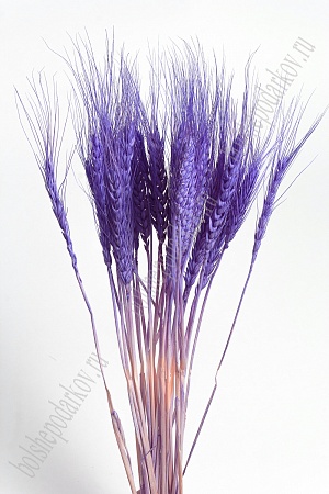 Сухоцветы &quot;Колоски&quot; SF-4323, фиолетовый