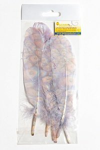 Перья декоративные 16*4,5 см (6 шт) &quot;Павлин&quot;