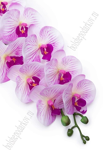 Веточка декоративная &amp;quot;Орхидея&amp;quot; 93 см (SF-8089) сиреневый/белый