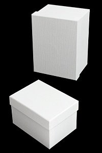 Коробки прямоугольные 10 в 1, 31*26*17 см (SF-7184) белый